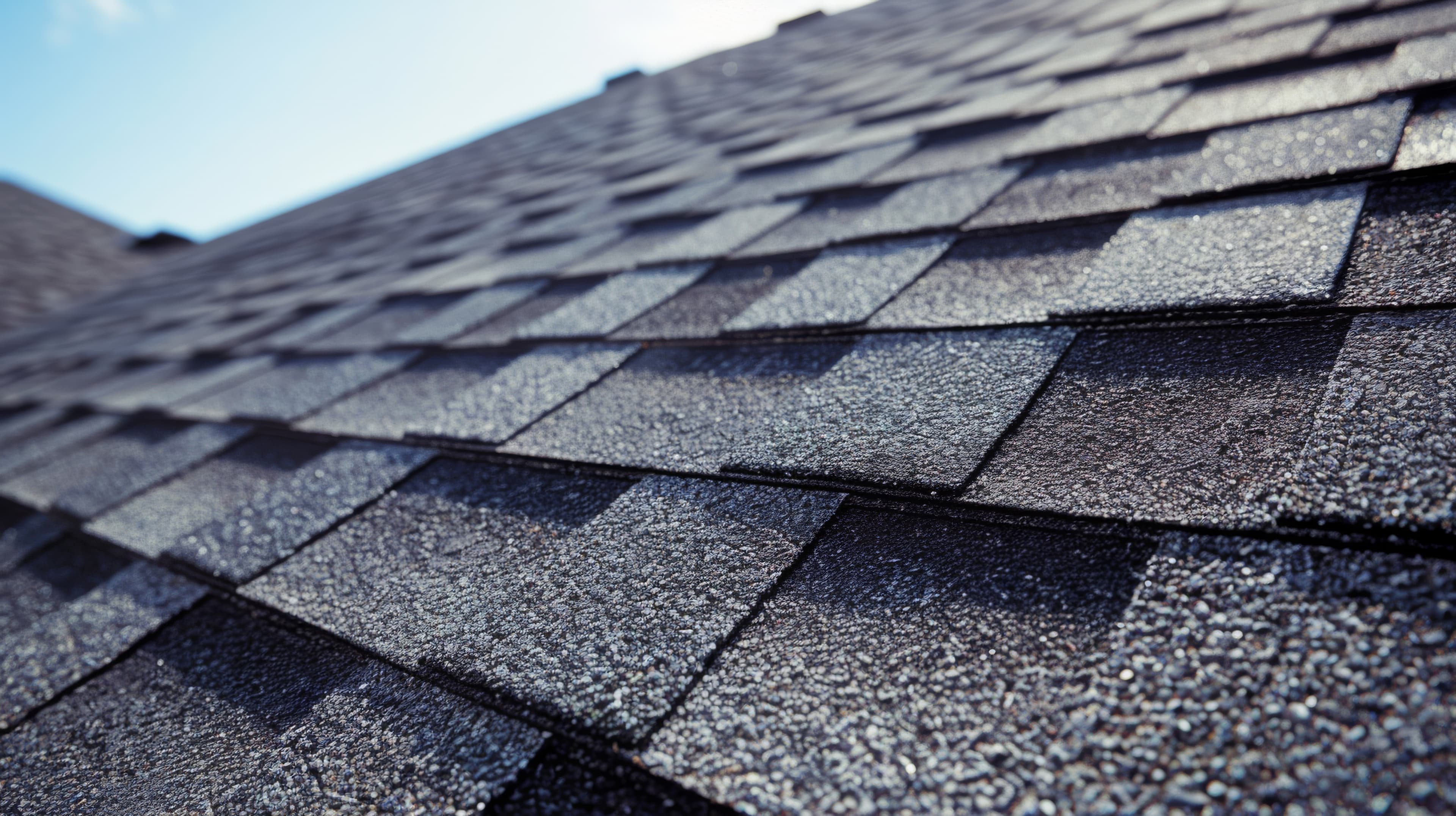 Close-up of weathered roof shingles and eaves